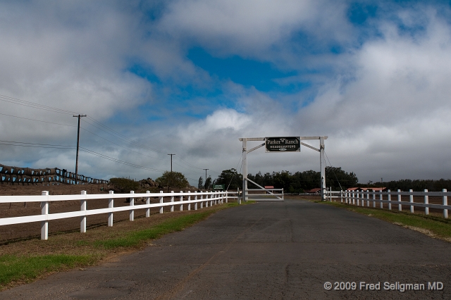 20091101_130813 D300.jpg - Parker Ranch, Waimea, Hawaii.  Parker ranch is one of the largest in the USA.  John Parker settled in Hawaii in 1809, a generation after Captain Cook!